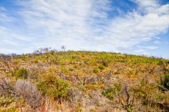 William Bay National Park