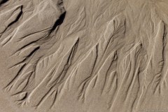 Plage, sable de Point Lookout