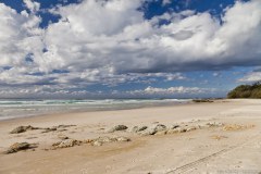 Plage, Point Lookout