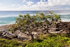 Plage, Point Lookout