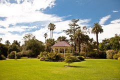 Albury4