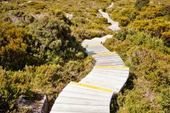 Chemin de randonnée, Hartz National Park