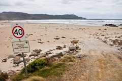 Attention, pas plus de 40 quand vous roulez sur la plage ! Cloudy Bay, île de Bruny