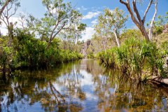 Rivière, Nitmiluk National Park