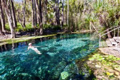 Bain à Bitter Spring, Elsey National Park