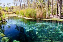 Bitter Spring, Mataranka