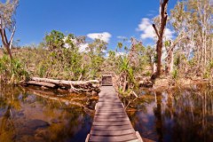 Panoramique d'un ponton à 180 degrés, Edith Falls, Nitmiluk National Park