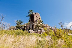 Magnetic Island