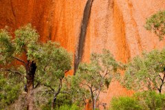 Kantju Gorge, nord d'Uluru