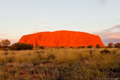 Uluru au coucher du soleil