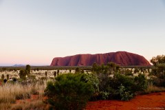 Lever de soleil sur Uluru