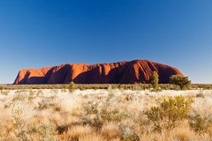 Uluru le matin