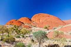 Kata Tjuta (mont Olgas)