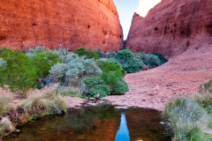 Walpa Gorge, Kata Tjuta (mont Olgas)