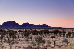 Coucher de soleil sur Kata Tjuta