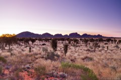 Coucher de soleil sur Kata Tjuta