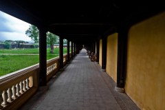 IMG_6787