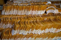 IMG_6800