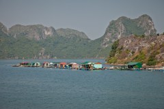 IMG_7203