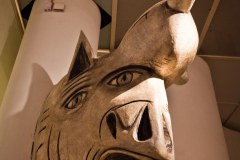 IMG_7468