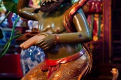 IMG_7493