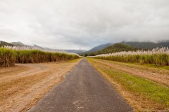 Entre montagnes, nuages et cannes à sucre, sud de Cairns