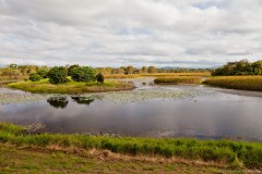Tyto wetlands