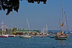 img_6411