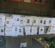 Les bulgares et leurs défunts