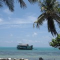 Maldives, paradis menacé