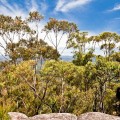 Pigeon House Mountain