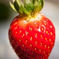 Fraise
