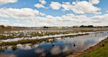 Le centre de la Tasmanie : de la Tamar Valley aux Midlands Lac Dulverton, Oatlands