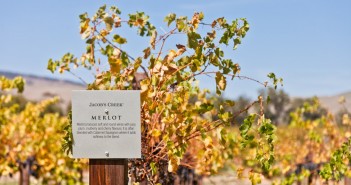 Merlot Jacobs Creek