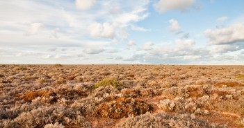 Nullarbor Plain, le néant à perte de vue ! Nullarbor Plain