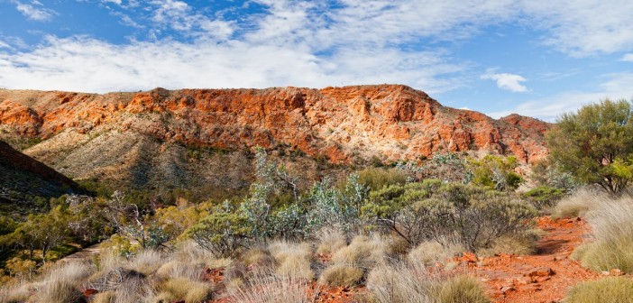 Trephina Gorge, East Mac Donnell