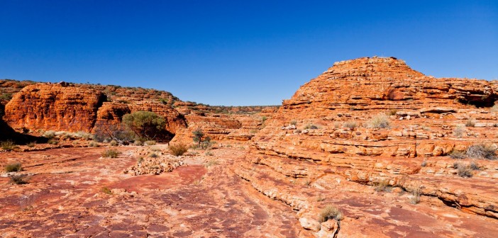 Au sommet de Kings Canyon