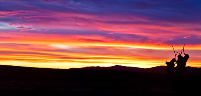 Coucher de soleil Flinders Ranges