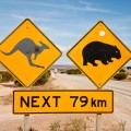 Nullarbor Plain