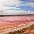 Pink Lake Kalbarri