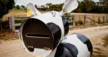 Boite aux lettres vache en Tasmanie