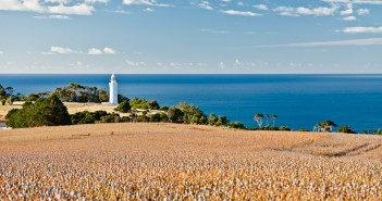 Champs de Tulipe, Table Cape