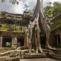 Ta Prohm, Angkor