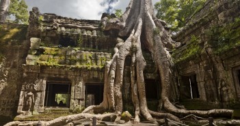 Ta Prohm, Angkor