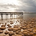 Thrombolites lac Clifton