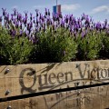 Queen Victoria Market