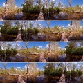 Edith Falls, panoramique à 360°, 4 angles différents