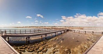 Stromatolites Hamelin Pool Shark Bay
