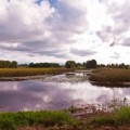 Tyto Wetlands en panoramique