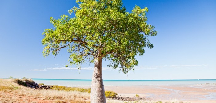 Town Beach, Broome